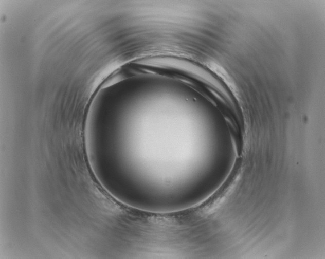 X0000089681089200706211218