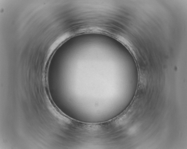 X0000089681090200706211218