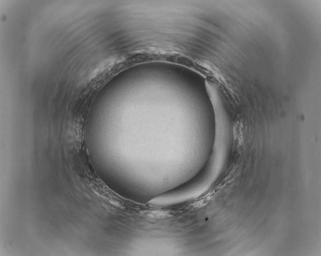 X0000089681110200706211217