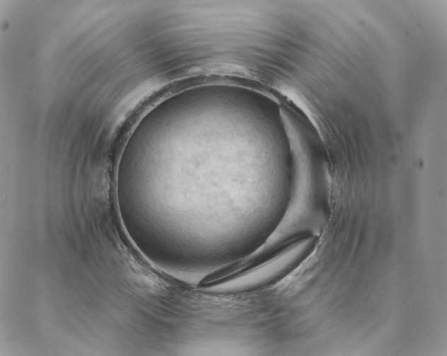 X0000089681115200706211218