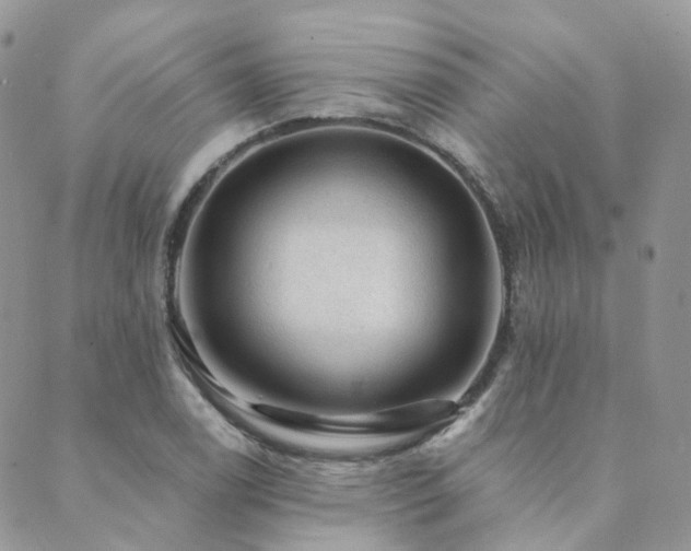 X0000089681122200706211218