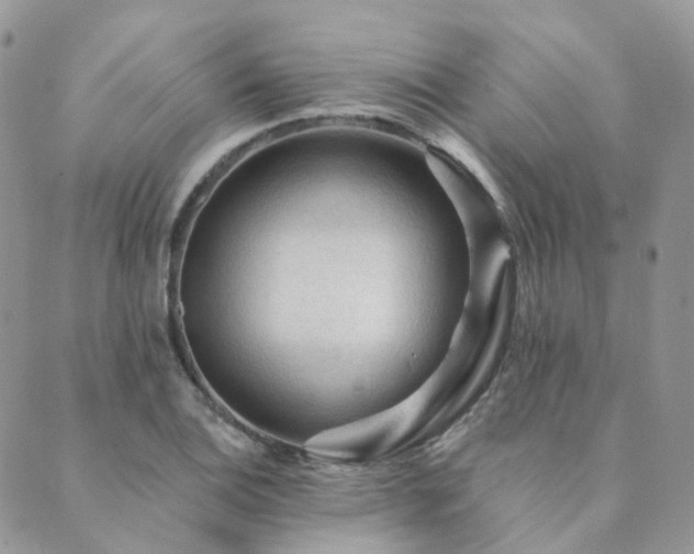 X0000089681124200706211218