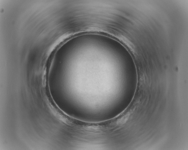 X0000089681126200706211218