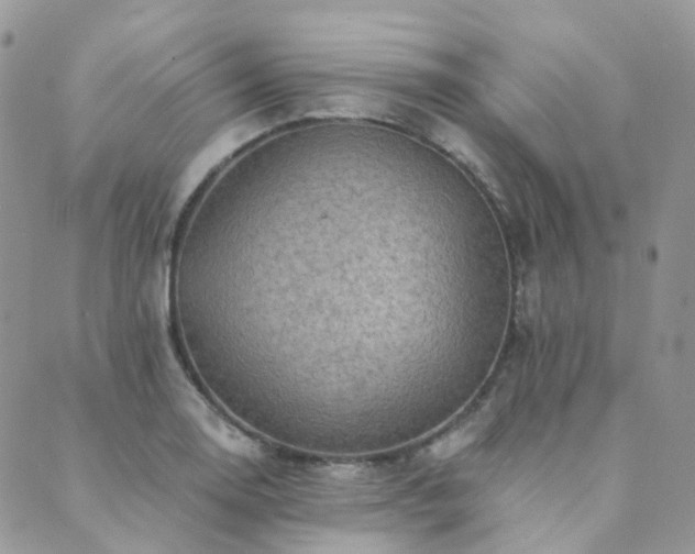 X0000089681130200706211218