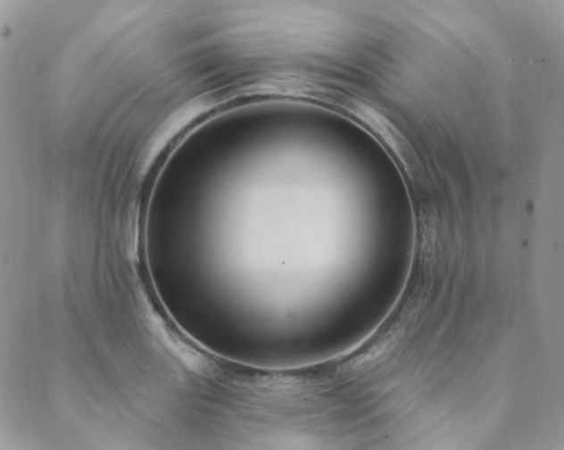 X0000089681131200706211218