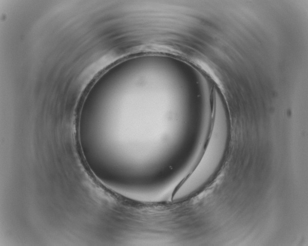 X0000089681133200706211218