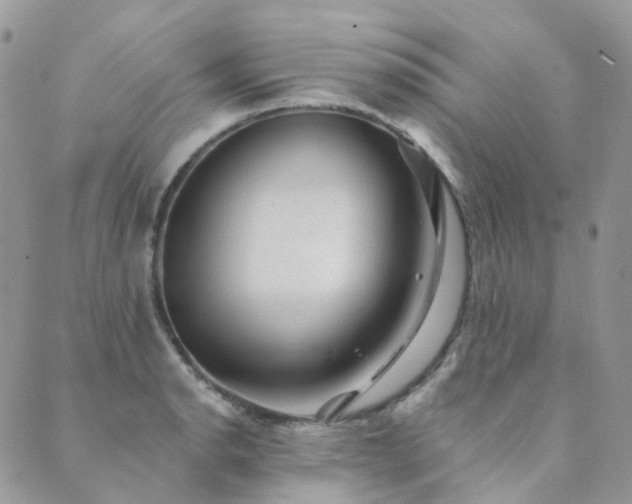 X0000089681134200706211218