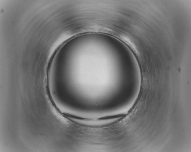 X0000089681136200706211218