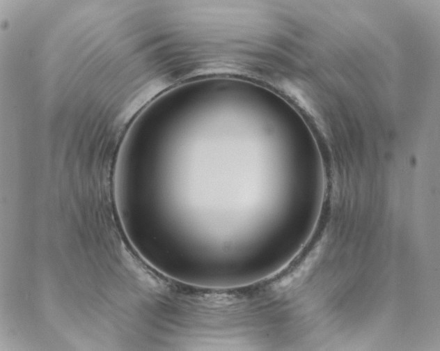 X0000089681137200706211218