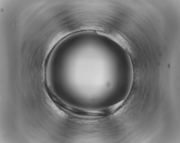 X0000089681140200706211218