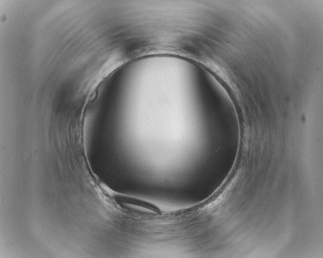 X0000089681145200706211218