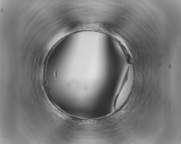 X0000089681147200706211218