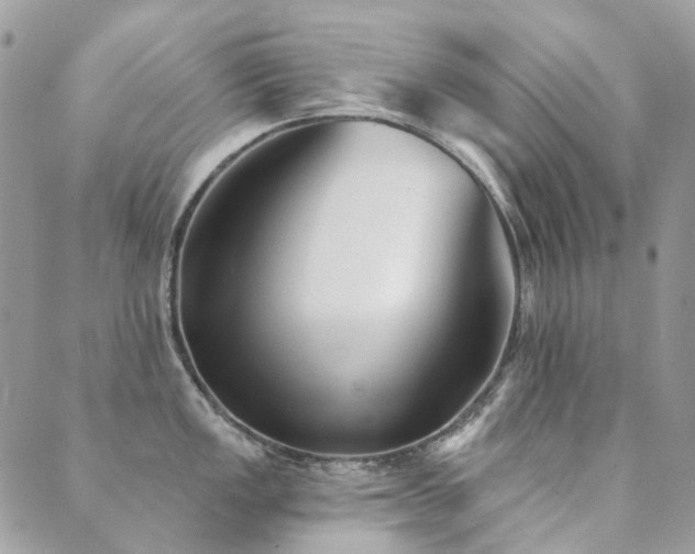 X0000089681149200706211218