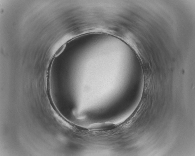 X0000089681151200706211218