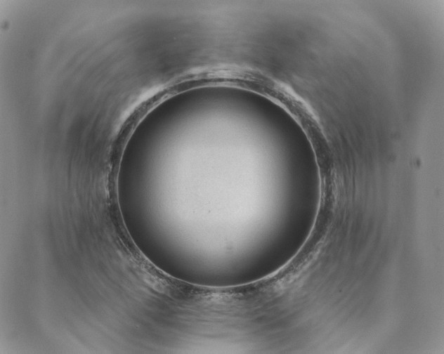 X0000089681166200706211217