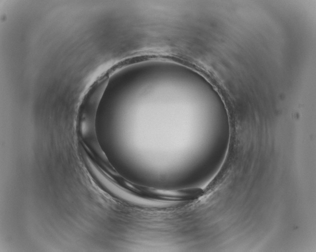 X0000089681168200706211217