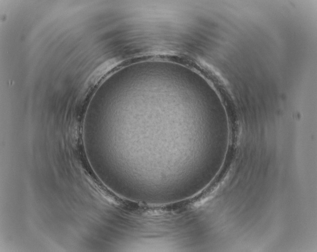 X0000089681169200706211217