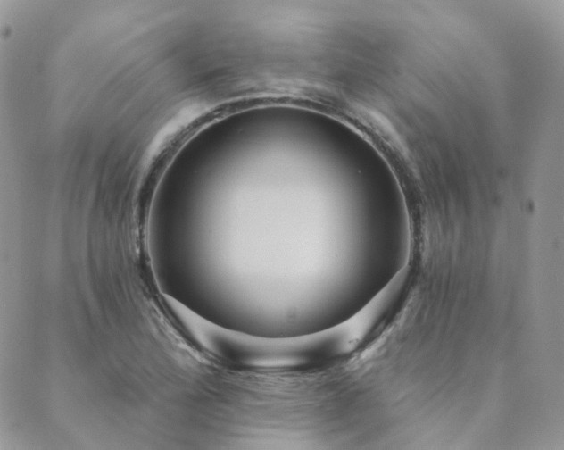 X0000089681172200706211217