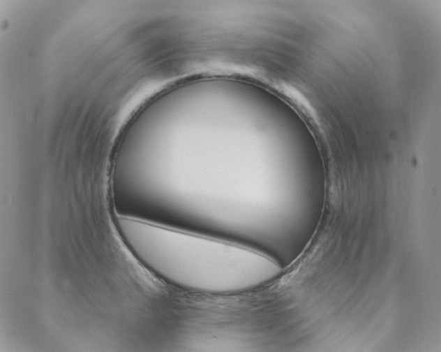 X0000089681183200706211217
