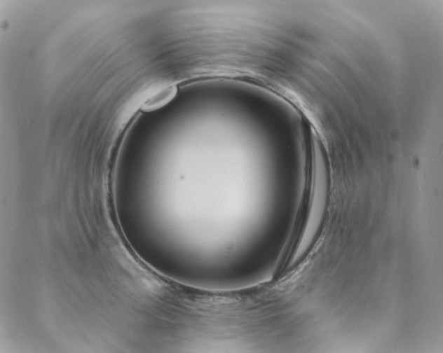 X0000089681187200706211217
