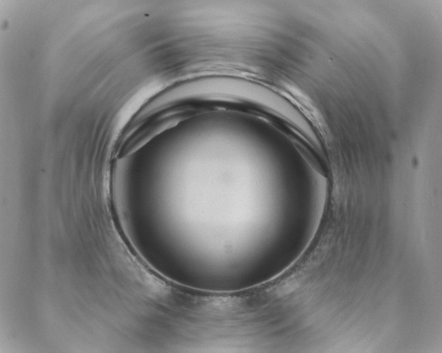 X0000089681188200706211217
