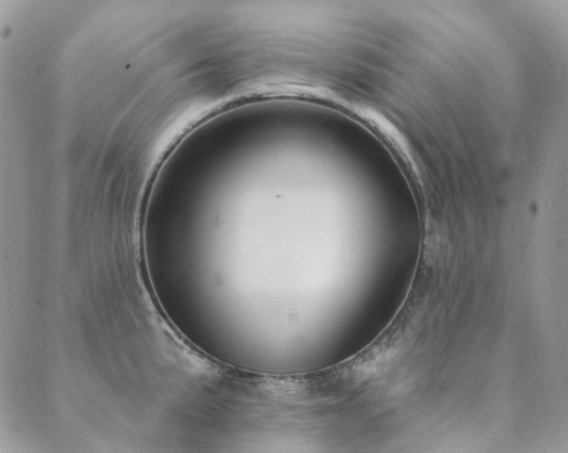 X0000089681191200706211217