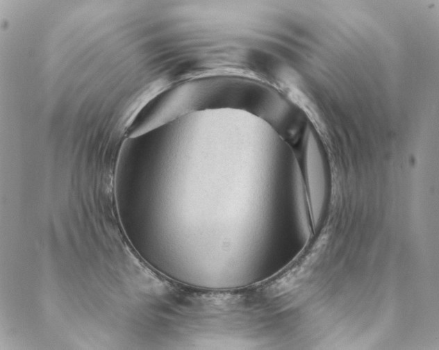 X0000089681193200706211217