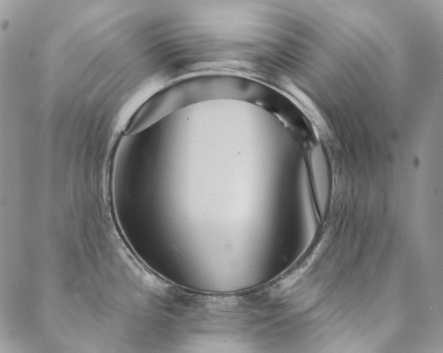X0000089681196200706211217