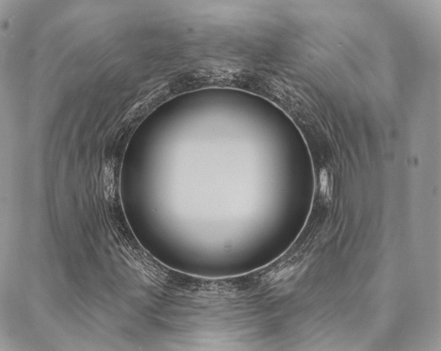 X0000089681203200706211216