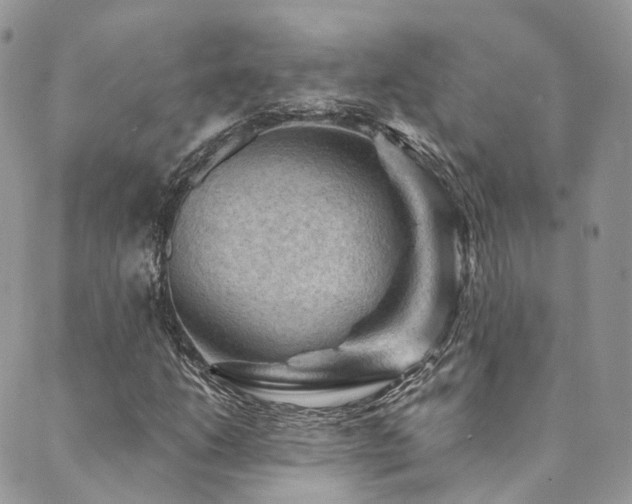 X0000089681206200706211216