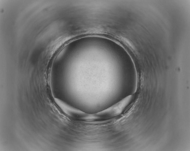 X0000089681212200706211216