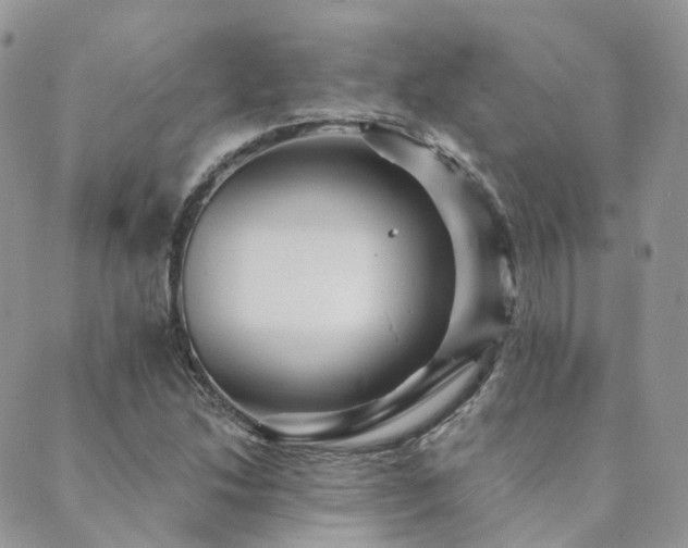 X0000089681214200706211216