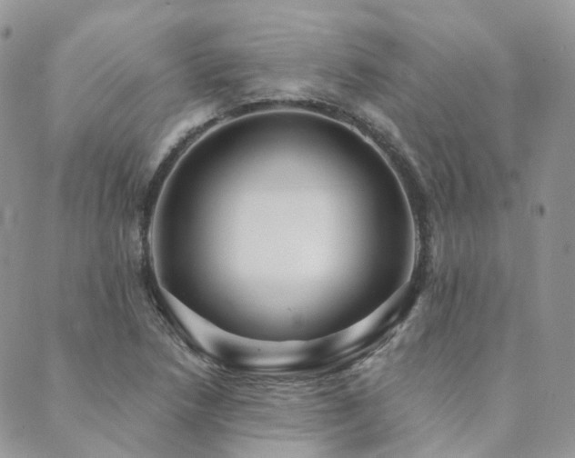 X0000089681218200706211216