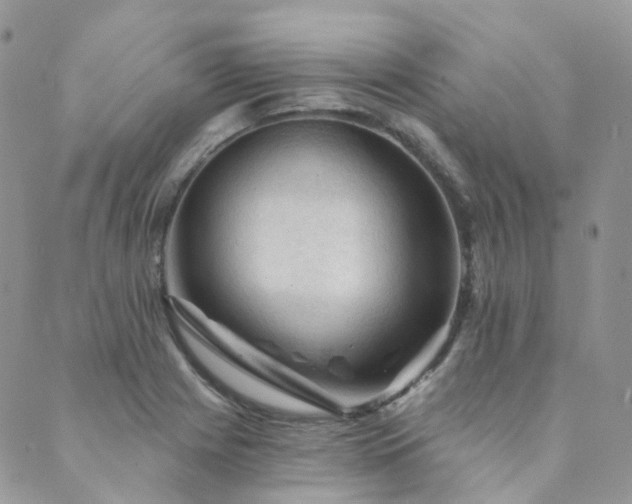 X0000089681225200706211216