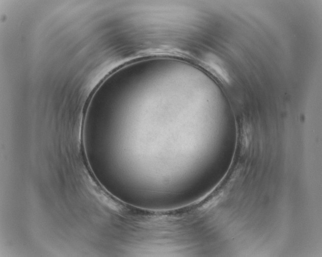 X0000089681228200706211216