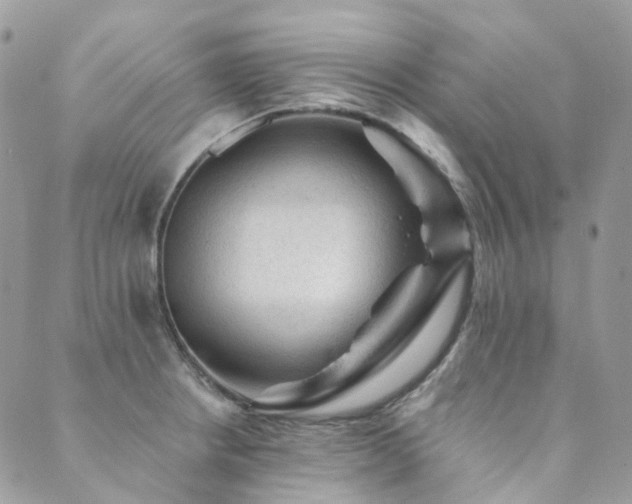 X0000089681234200706211216
