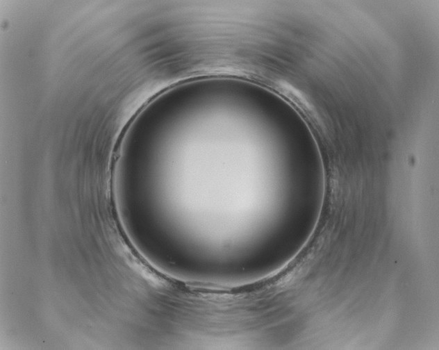 X0000089681236200706211216