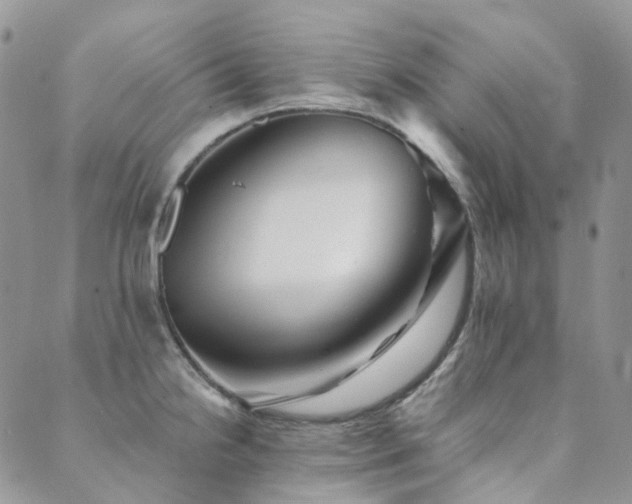 X0000089681238200706211216