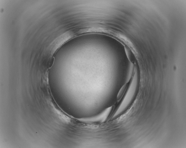 X0000089681241200706211216