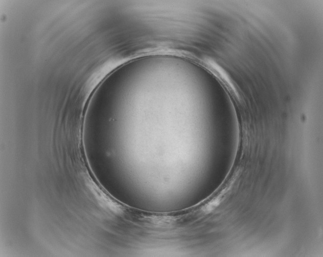 X0000089681244200706211217