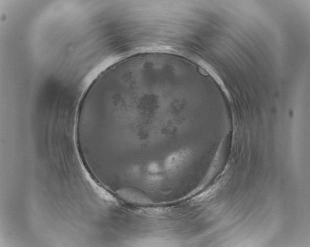 X0000089681245200706211217