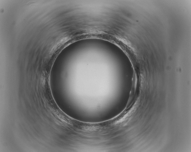 X0000089681257200706211216
