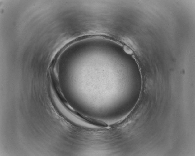 X0000089681268200706211215