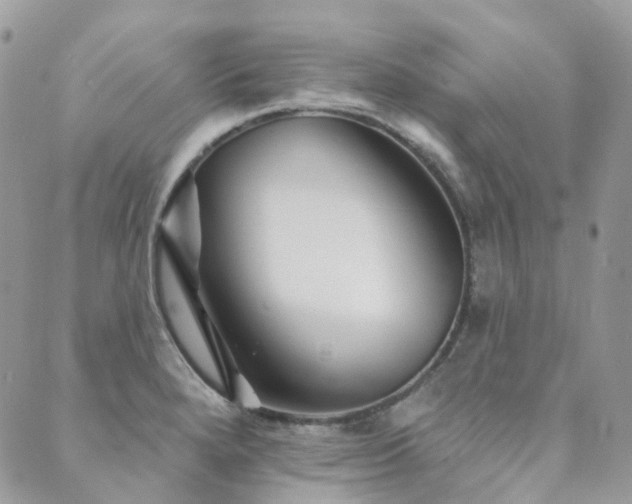 X0000089681280200706211215