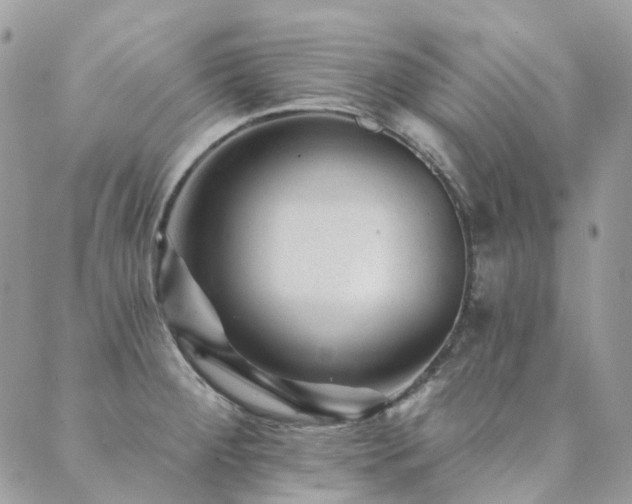X0000089681284200706211215
