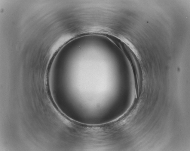 X0000089681285200706211215