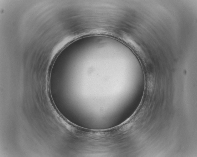 X0000089681286200706211215