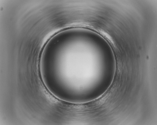 X0000089681288200706211215