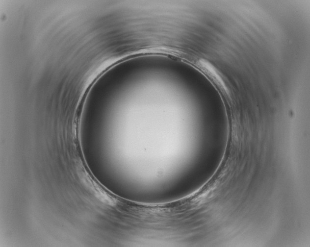 X0000089681292200706211215