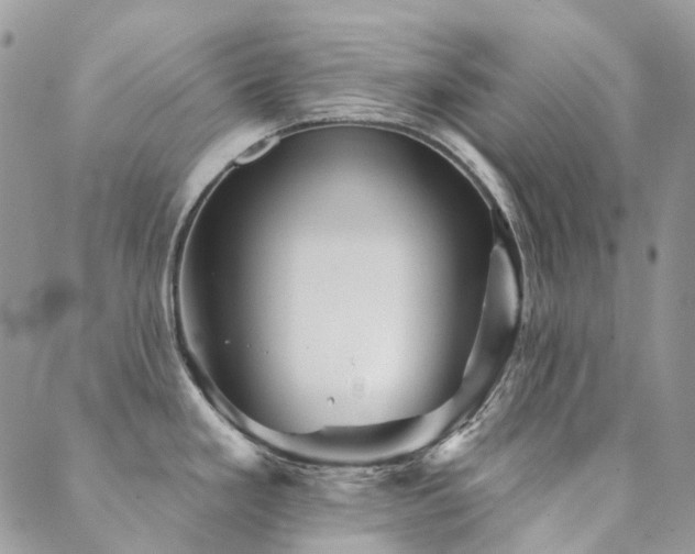 X0000089681293200706211215